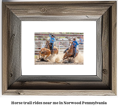 horse trail rides near me in Norwood, Pennsylvania